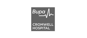 BUPA - Cromwell Hospital