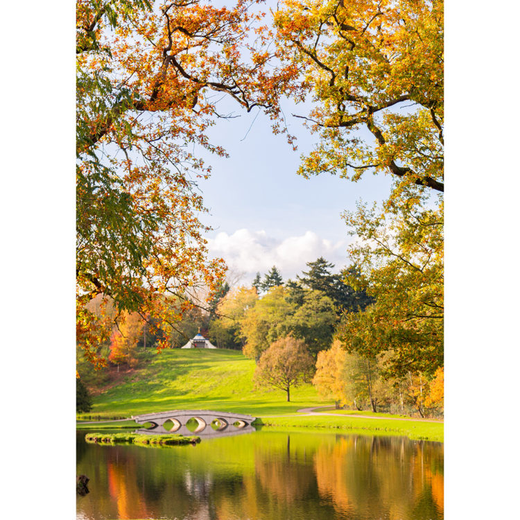 World Photography Day, Painshill Park